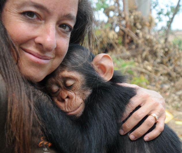 Meet Jenny Desmond from team Harmony Fund. Jenny is immersed in both wildlife conservation and the welfare of companion animals. She spends much of her time ... - updates-on-10th-apr-2013-2013-04-10-055229-9137
