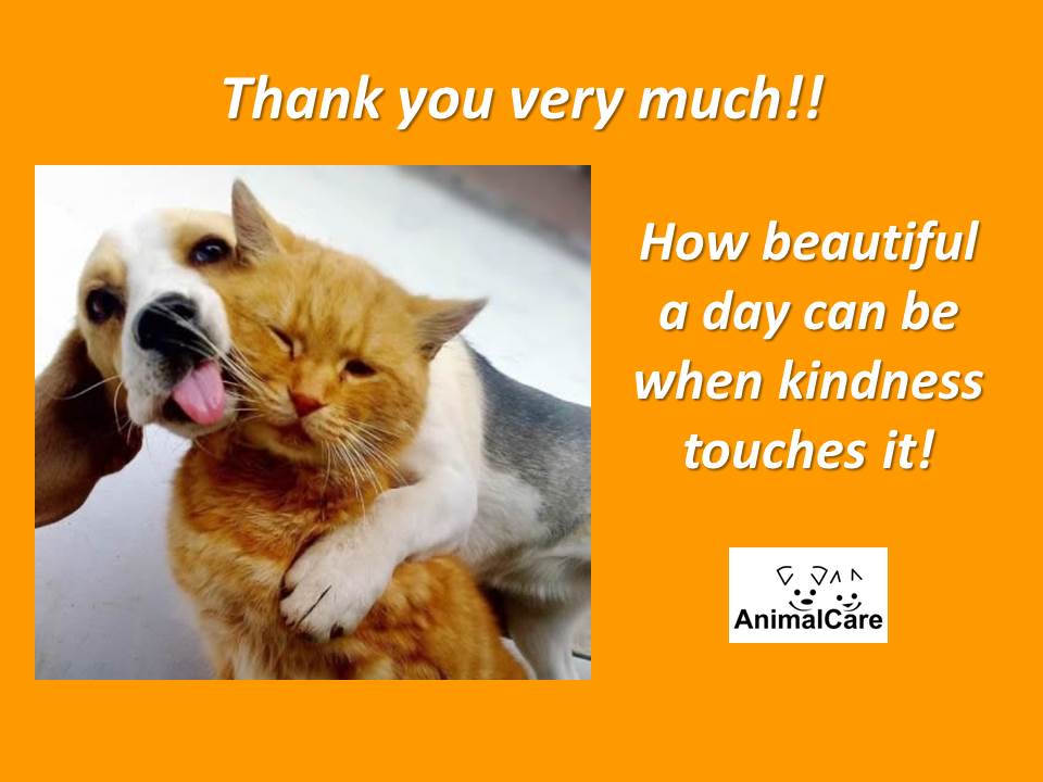  - thank-you-very-much-august-2013-donors-2013-09-01-133613-8306