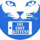 101 Lost Kittens