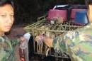 Dog Meat Factory Raided In Thailand | Soi Dog Foundation | PetFinder.my WAGazine