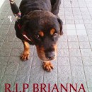 Goodbye Brianna