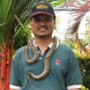 In Reptiles We Trust… | Mohd Nazri A.k.a. Uncle Herp | PetFinder.my WAGazine