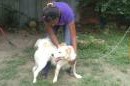 Love Is Just A Call Away | FionaYuen | PetFinder.my WAGazine