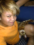 Mr Kinky - Bengal Cat