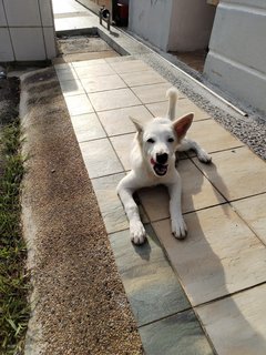 Sunbathing 