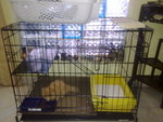 1 tier cage