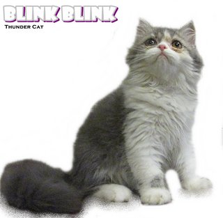 Blinkblink - Persian Cat