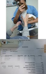 Heartworm test & deworming - vet bill: RM94.35