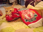 Me and my daddy loves liverpool!