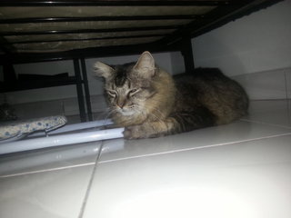 She hiding behind under the bed