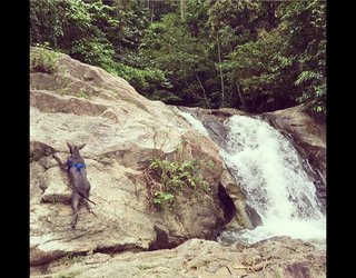 Climbing waterfalls in broga