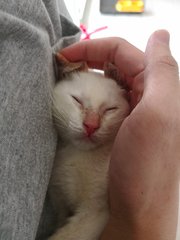 My rescuer came to visit one day. And helped me get some good nap. 