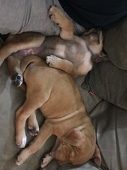 Mia and Abi during nap time