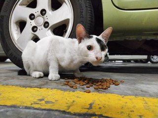 When he was found at the carpark