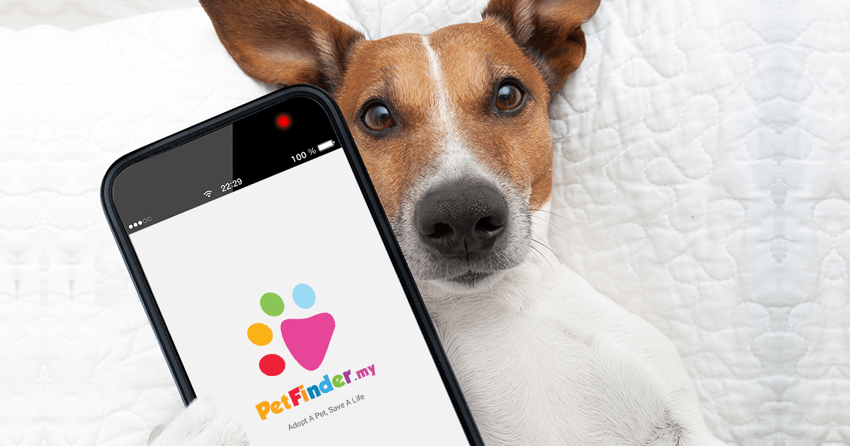 Mobile App | PetFinder.my