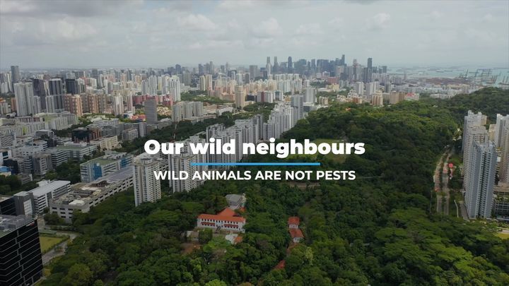 Got Wild Neighbours? New Series Trailer. Have You ..