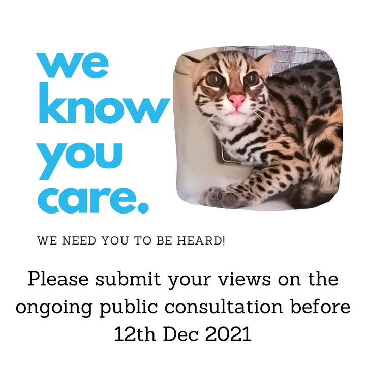 We Know You Care – Please Give Your Inputs Endange..