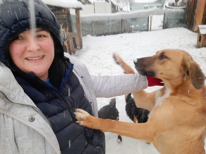 Dogs In Landfill To Have Christmas?. Rescuer Marij..