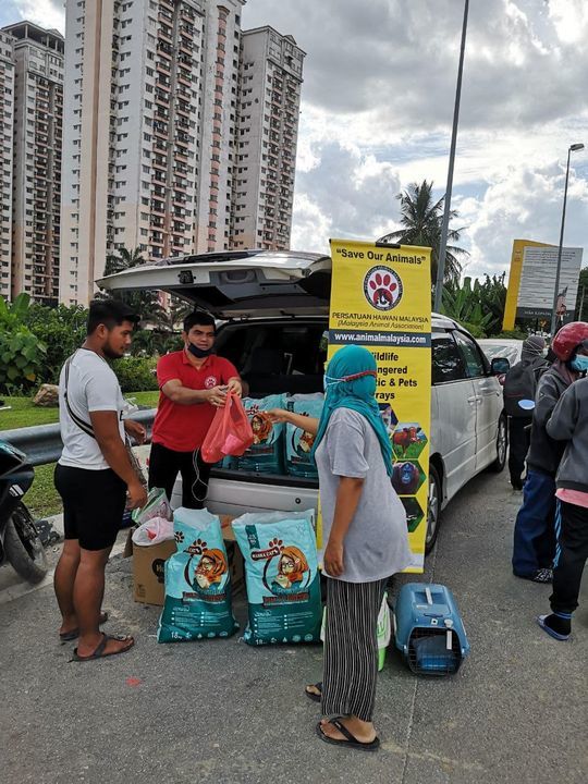 Pengagihan Makanan Kucing Mangsa Banjir Hulu Langa..