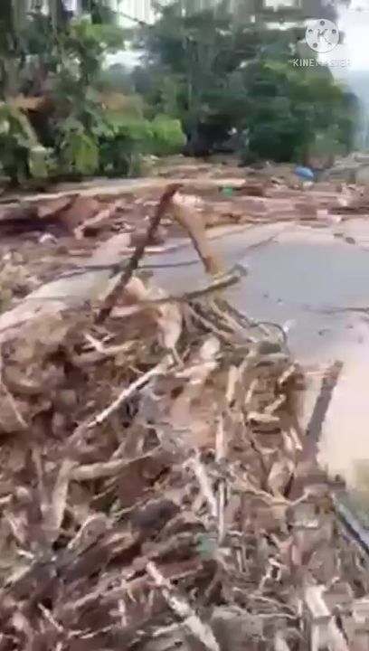 Hujan Lebat Punca Pokok Kayu Tercabut Dibawa Arus ..