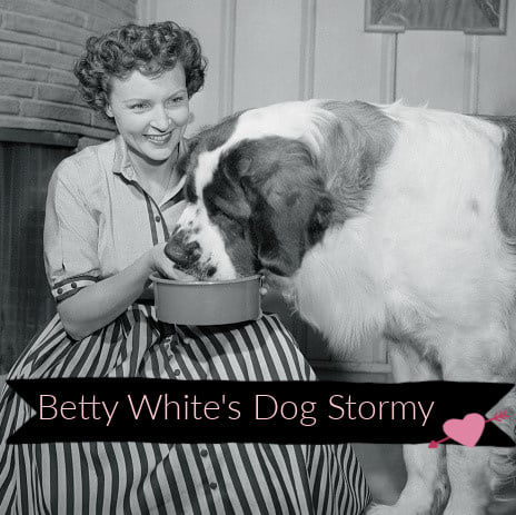 Betty White And Her Dog Stormy. While Dinner For S..