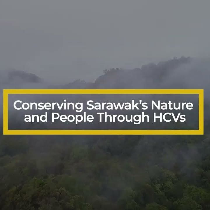 Conserving Sarawakâ€™s Nature And People Through Hcvs