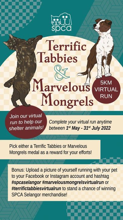 Join Our Virtual Run. Pick Either A Terrific Tabbi..