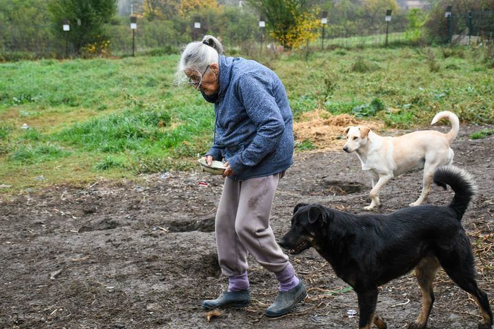 Elderly Woman Running Shelter All Alone. Please He..