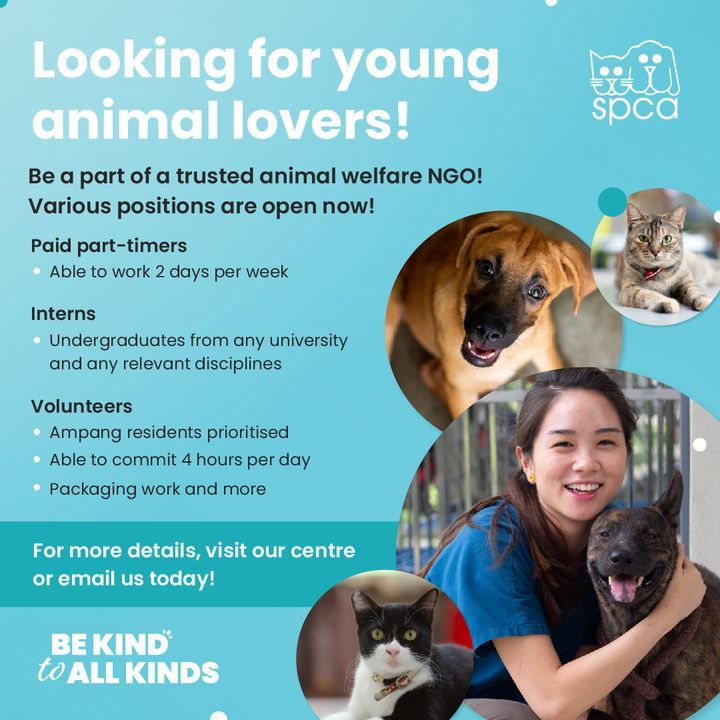 Hey People Do You Love Animals And Want A Job To H..