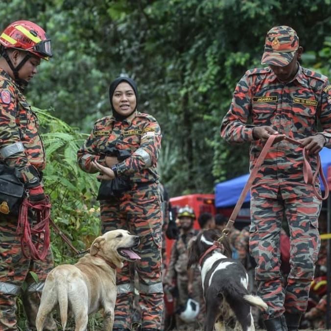 Malaysia Landslide: Sniffer Dog Keels Over From Fatigue; K-9 Unit To Be Rotated For Freshness