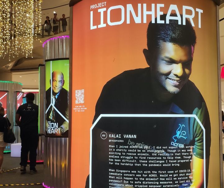 Thank You Project Lionheart Sg. We Are Honoured An..