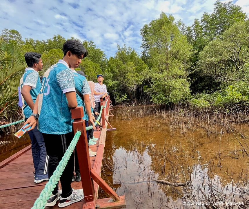 Setiu Wetlands Is A Natural Wetland Area That Is K..