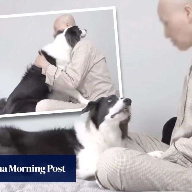 Dogâ€™s Bond With Owner Fighting Cancer Trends In China