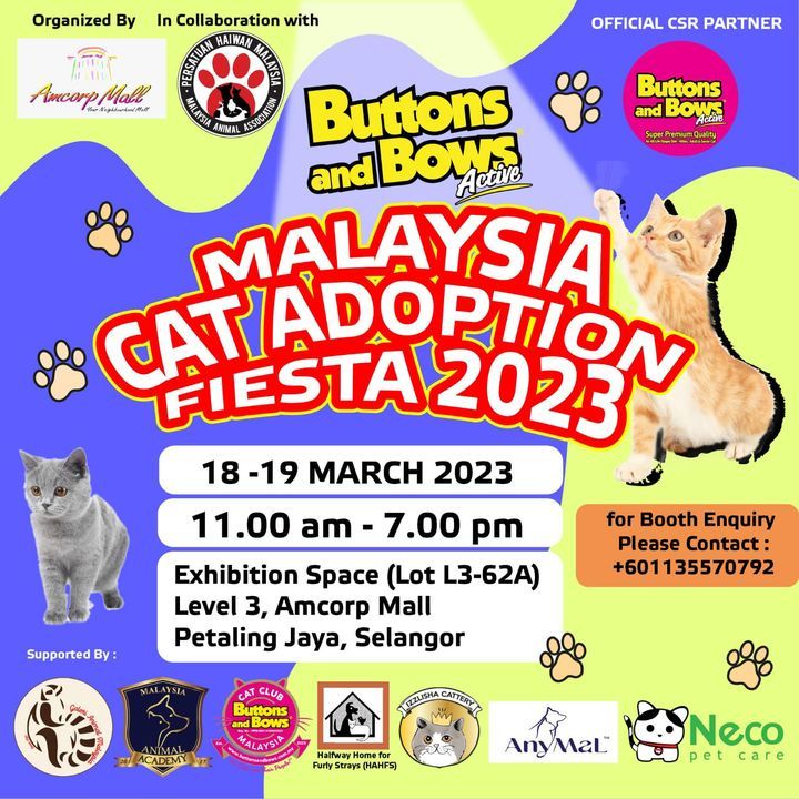 Kembali Lagi Buttons And Bows Malaysia Cat Adoptio..