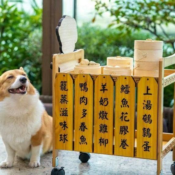 â€˜doggy Yum Chaâ€™: Hong Kong Hotel Rolls Out Dim Sum For Dogs