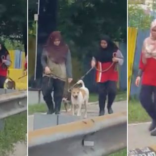 "Best Friend & Bodyguard" â€” Malaysians Praise Malay Girls For Taking Rescue Dogs On A Walk