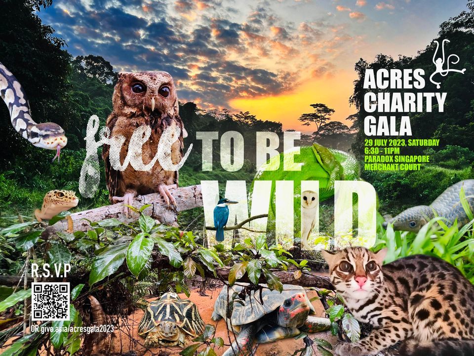 Acres Charity Gala Dinner 2023 Free To Be Wild. We..