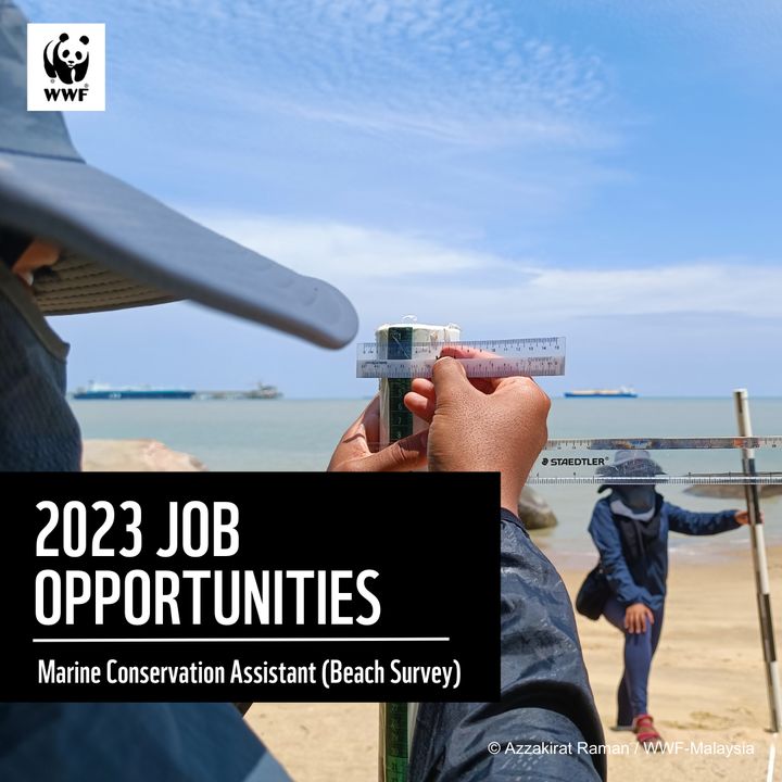 Wwf-Malaysia Is Seeking Suitable Candidates To Joi..