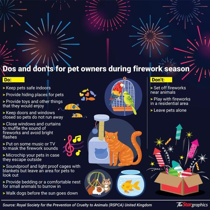 Protecting Pets From Festive Fireworks