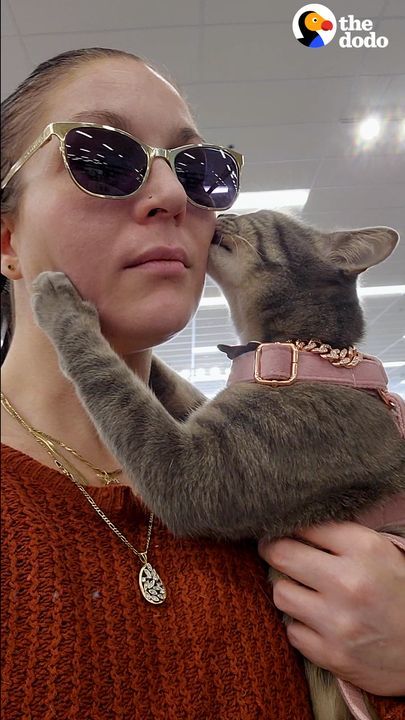 Cat Mom Found The Perfect Solution To Her Velcro Cat