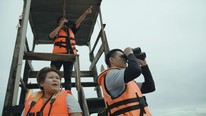 Irrawaddy Dolphin Conservation Project