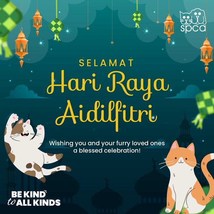 We At Spca Selangor Would Like To Wish You And You..