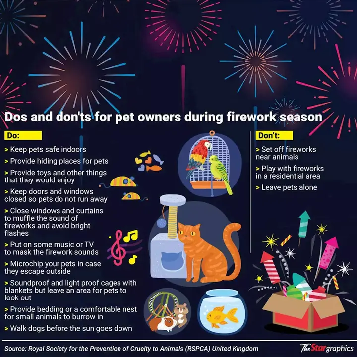 Protecting Pets From Festive Fireworks