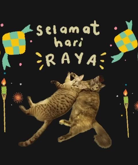 Selamat Hari Raya From Save A Stray