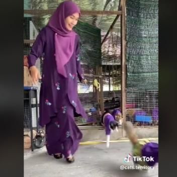 Penang Woman Dresses 61 Pet Cats In Matching ‘Baju Raya’ For Aidilfitri Celebration (Video)