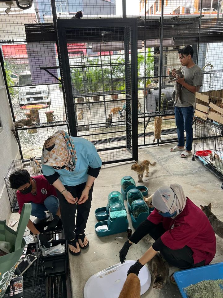 Memberi Bantuan Rawatan Perubatan Veterinar Adalah..