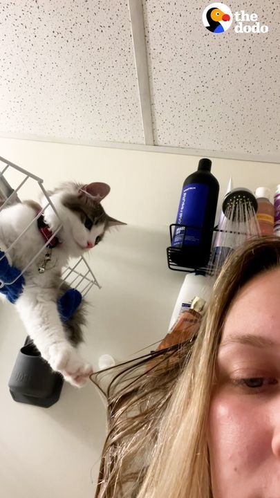 This Cat Loves To Hop In The Shower With Mom