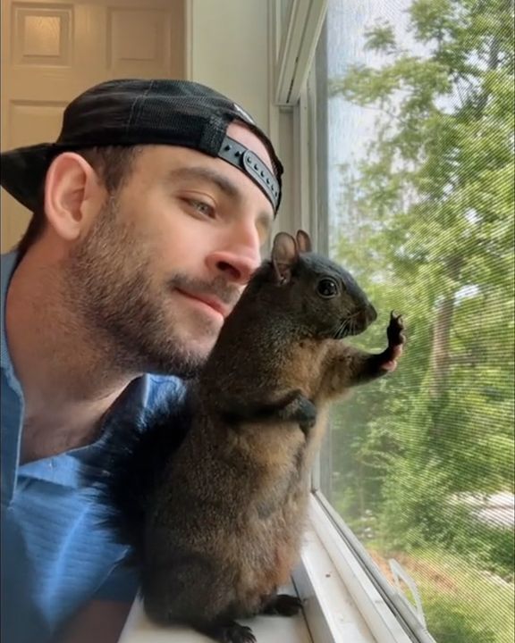 Life With My Pet Squirrel ðŸ¿ï¸