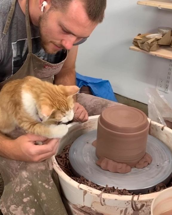 My Cat Loves Pottery As Much As I Do ðŸˆ