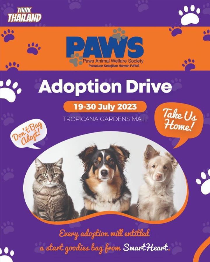 Folks, Its Happening Next Week. A 12-Day Adoption ..